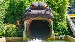 The Taipan Water Slides  Jamberoo Action Park [upl. by Enos]