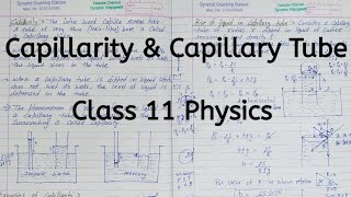 Capillarity  Capillary Tube  Chapter 9  Mechanical Properties of Fluids  Class 11 Physics [upl. by Rellek]