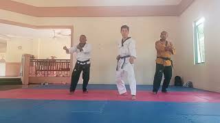 Taekwondo Jitae Poomsae step by step [upl. by Aronaele657]