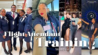 Flight Attendant Training Vlog Week 36  Passing Exams Going Out In Dallas  Uniform Haul amp Bases [upl. by Clellan]