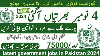 Latest government November jobs 2024 ۔ New jobs 2024 in pakistan۔Latest jobs in Pakistan 2024 today [upl. by Lever]