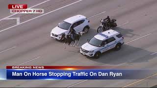 LIVE REPORT Dreadhead Cowboy rides horse on Dan Ryan Expressway [upl. by Baelbeer]