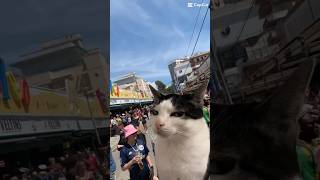 Was sind eure Malle Lifehacks 🏝️🍻ballermann tomtouché partyschlager bier kater [upl. by Rao268]