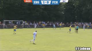 Eintracht Braunschweig  FC Hansa Rostock 12  Testspiel  Alle Tore [upl. by Landis]