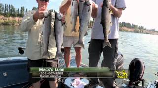 Columbia River Sockeye Fishing amp Buoy 10 Chinook [upl. by Schellens642]