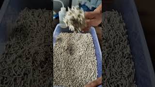 Natural plantbased cat litter produced by the cat litter factory [upl. by Jordans]