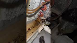 How to clean Ac drain line ￼ [upl. by Frierson]