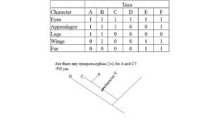 Cladogram Exercise by Hamid Razifard [upl. by Leverett]