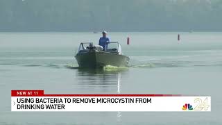 NBC 24 Using Bacteria to Remove Microcystin From Drinking Water [upl. by Valentia431]