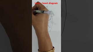 Labelled heart diagram shorts drawing diagram [upl. by Mirth]