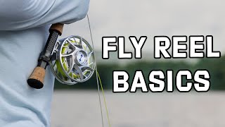 Fly Reels Explained  Basics You Need to Know  Getting Started in Fly Fishing [upl. by Shedd262]