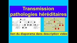 Vidéo N°8 Term ST2S Transmission Pathologies Héréditaires lien diaporama dans description12121 [upl. by Cenac]