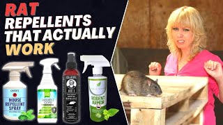 Best Rat Repellent Spray How to Get Rid of Rats in House Fast  Top Repellents [upl. by Samau651]