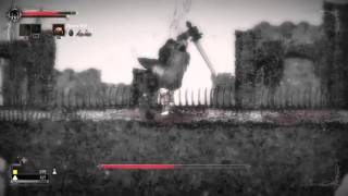 Salt and Sanctuary All Bosses 1080p 60fps [upl. by Ferdinand]