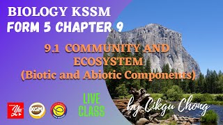 91 Community and Ecosystem 1 [upl. by Mongeau]