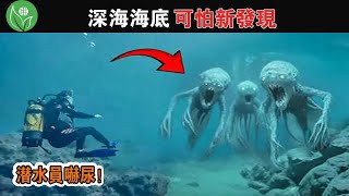 太平洋海底發現的神秘離奇生物，海洋學家至今不寒而慄！深海中15個最可怕的新發現，可能會嚇到你【探索旅行號】冷知識 排名 世界最top地球之最top10世界之最top海洋生物 [upl. by Noryahs127]