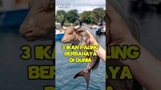 3 ikan paling berbhaya di dunia Nomor 3 bahaya banget shorts [upl. by Gauthier87]