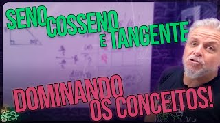 Relações Trigonométricas Seno Cosseno e Tangente de Forma Simples  Matemática com Prof Heraldo [upl. by Isaak]