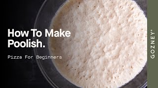 How To Make Poolish  Pizza For Beginners  Gozney [upl. by Norvin83]