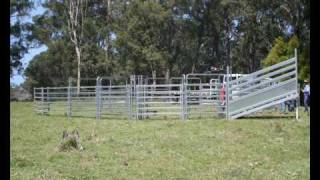 M amp M Stockyards  50 Head Working Capacity Cattle Yards [upl. by Goles]