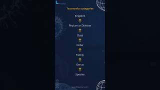 Taxonomics categories  Class 11 Biology ncert [upl. by Saiasi]