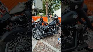 Harley Davidson Heaven biker bikelife motorcycle lifestyle fyp [upl. by Boleslaw]