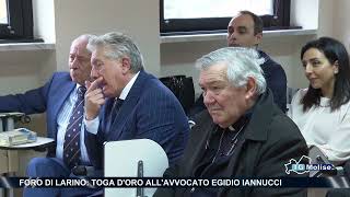 Foro di Larino toga doro allavvocato Egidio Iannucci [upl. by Eidnalem707]