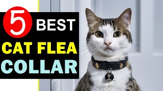 Best Cat Flea Collar 2024 🏆 Top 5 Best Cat Flea Collar Reviews [upl. by Rico]