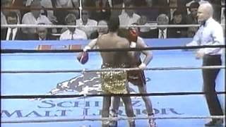 Héctor quotMachoquot Camacho vs Ray quotBoom Boomquot Mancini Parte 3 [upl. by Lenz533]