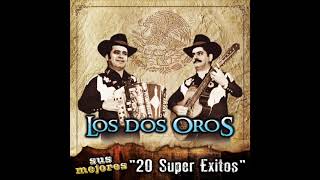 Los Dos Oros  Sus Mejores quot20 Super Exitosquot Disco Completo [upl. by Gilford]