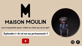 MAISON MOULIN les croquettes pour chien et chat qui se la PET [upl. by Aisaim74]