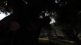 SAG Darkscape Southwestern Tree Stash [upl. by Ecilegna]