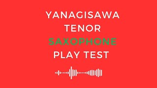 Yanagisawa TW01 Tenor Saxophone Play Test [upl. by Halika]