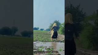 स्लाम पानत करलेगी ढोला गुर्जर रसीया सोंग krdevta shorts shortsvideo [upl. by Agni130]