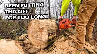 Cleaning up Deadfall with Husqvarna Chainsaw and John Deere 755 [upl. by Johnson792]