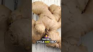 Ginger Compounds and Cancer Cell Cycle Control shorts [upl. by Niklaus]