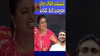 రోజా నోటికి భయపడే జగన్ సీట్ ఇచ్చాడా  Was Jagan Afraid of Rojas Mouth  Cine Megham [upl. by Pandolfi47]