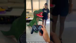 This girl has amazing dinosaurs shorts youtubeshorts [upl. by Nylknarf]