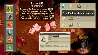 AVENTURE TEMPORIS DOFUS RETRO III 4  RECORD DXP amp CHANCE [upl. by Enelrahc]