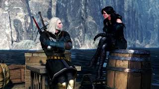 Sterqees  Witchers shades  Celtic folk  The Witcher [upl. by Nomla712]