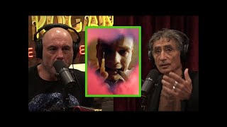 The Root of Opioid Addiction  JRE w Gabor Maté [upl. by Tahp]