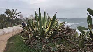 Portuguese coastal walk 3rd November 2024  Alvor to Carvoeiro  28km  4 [upl. by Felicio]