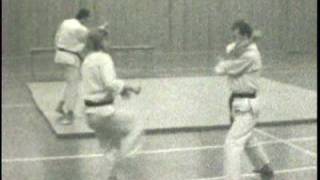 Swedish Karate 1968  1973 [upl. by Yedorb]