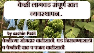 केळी खत व्यवस्थापन  केळी लागवड खत व्यवस्थापन  banana fertigation schedule [upl. by Treulich775]