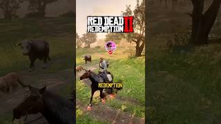 Most Useful Items in RDR2 🔥🤠 reddeadredemption2 rdr2 arthurmorgan gaming fyp [upl. by Zaraf167]