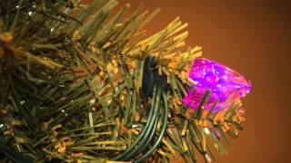 LED vs incandescent bulbs for holiday lights [upl. by Missy]