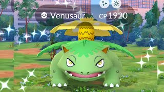 Shiny venusaur appear in wild [upl. by Eseerahs]