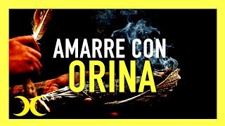 5 Amarres de amor con orina Los rituales más poderosos y efectivos [upl. by Aggappe]