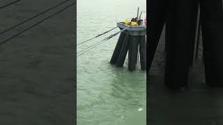 A cruise ship being tied to the dock [upl. by Stets]