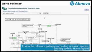 Gene Pathway [upl. by Euqenimod379]